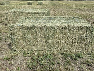 3X4 3rd crop Alfalfa Hay
