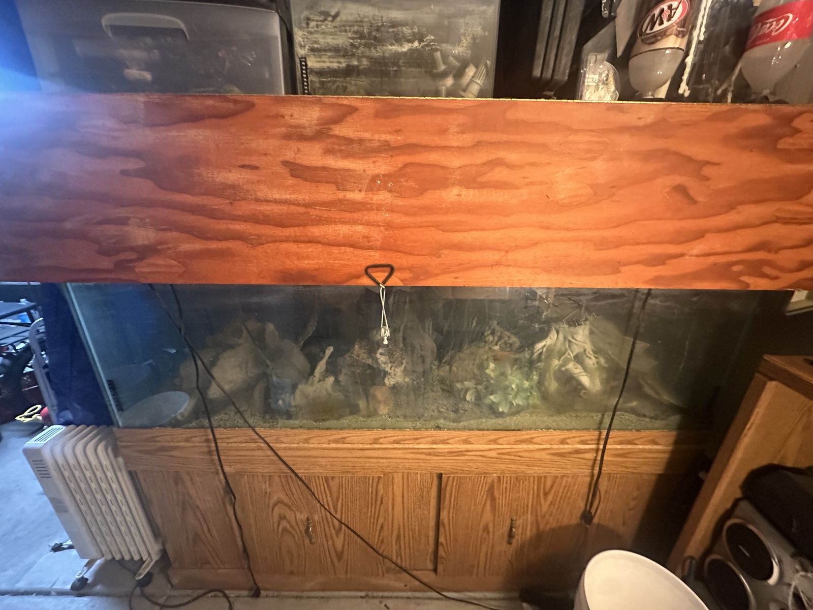 125 Gallon Tank Setup