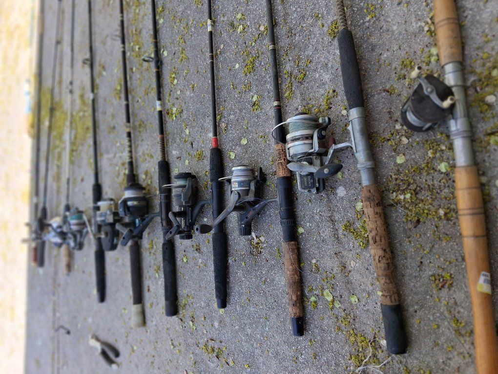 fishing rod and reeks for sell