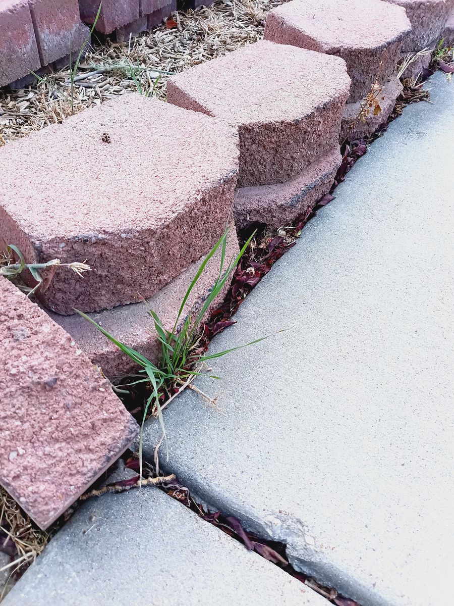 Decorative red bricks