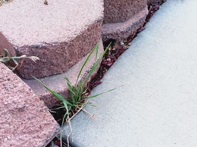 Decorative red bricks