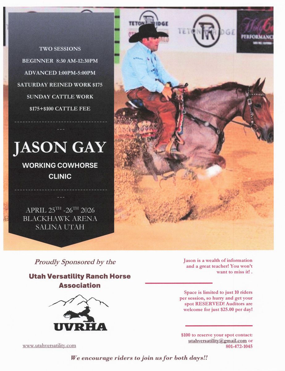 Jason Gay Working Cowhorse Clinic