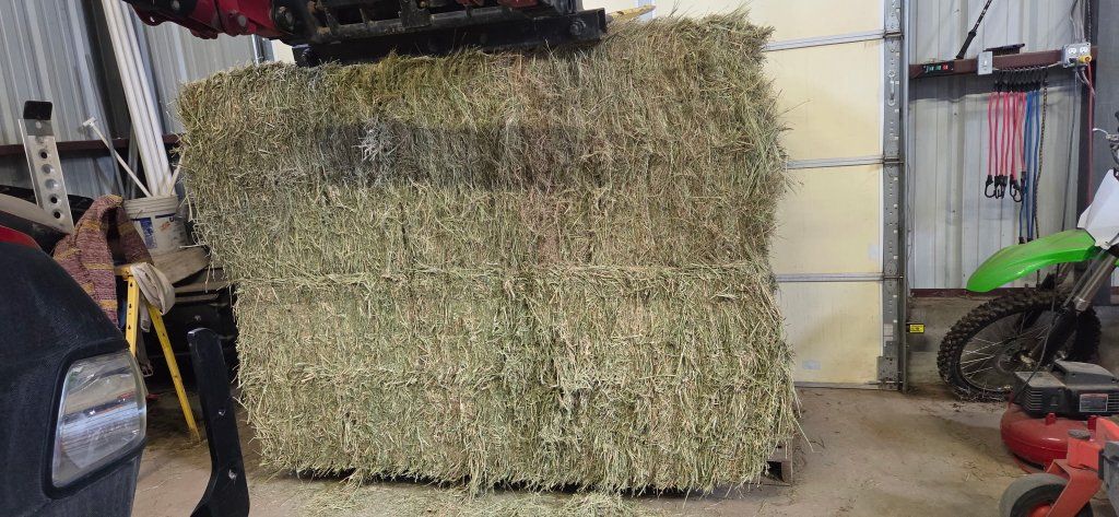 Horse Quality Hay