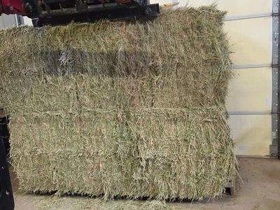 Horse Quality Hay