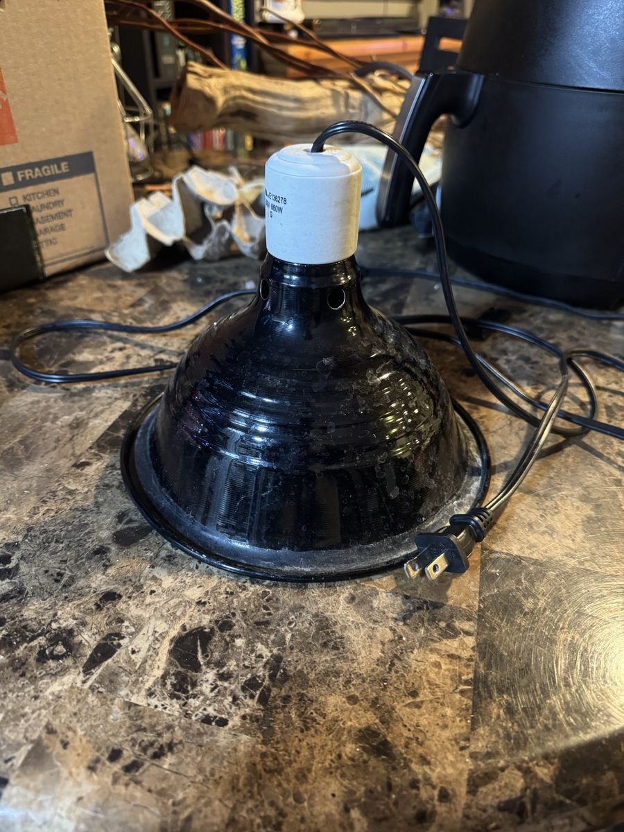 Reptile Heat/Light Dome Lamp