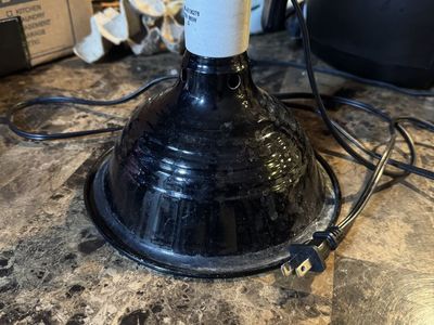 Reptile Heat/Light Dome Lamp