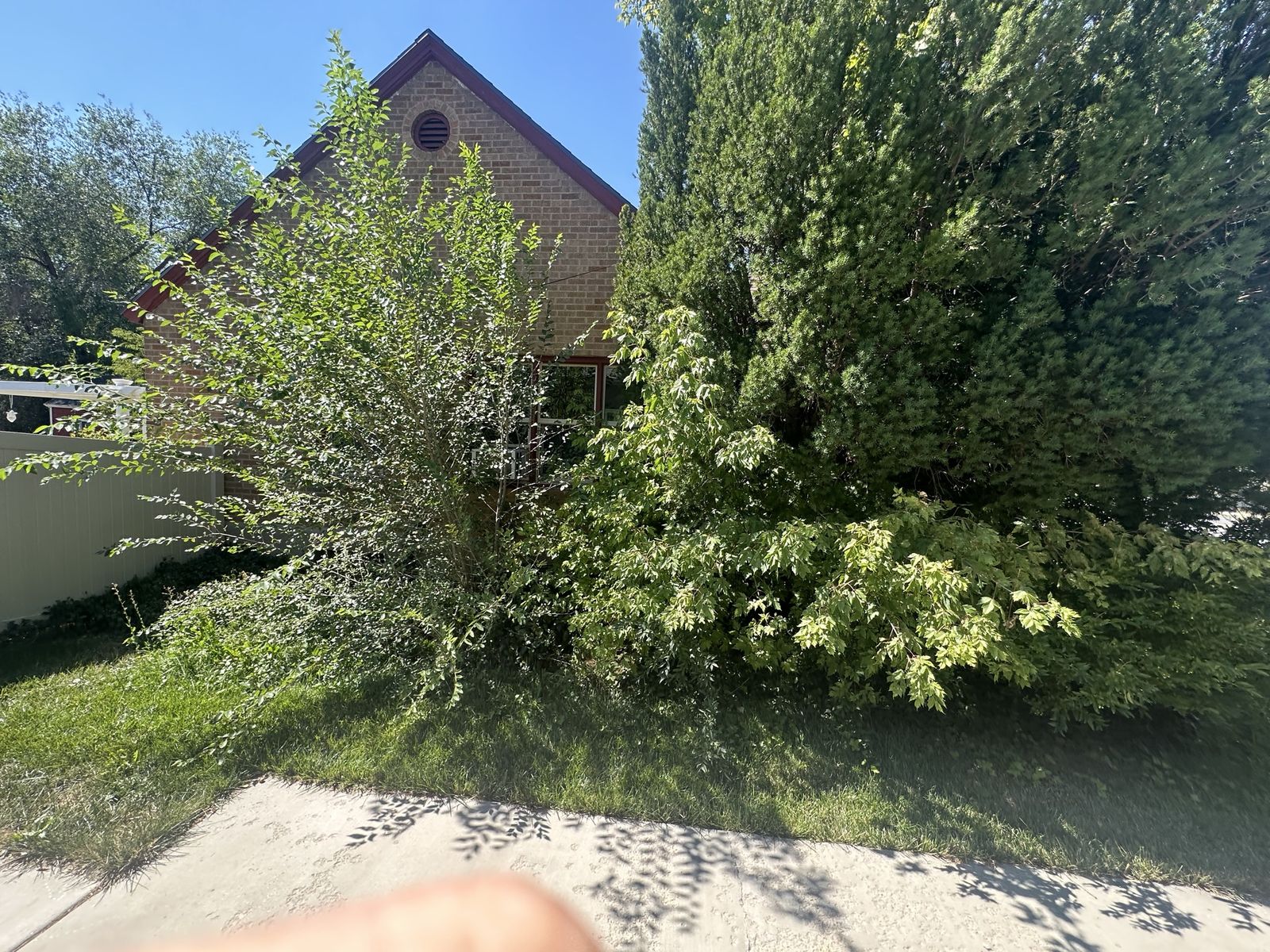 Main image 6