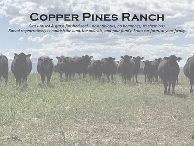 Grass-fed Beef