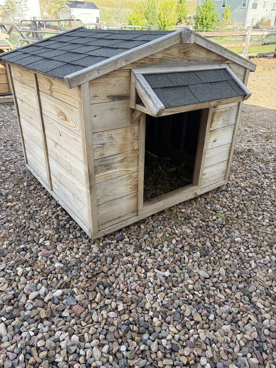 Dog house