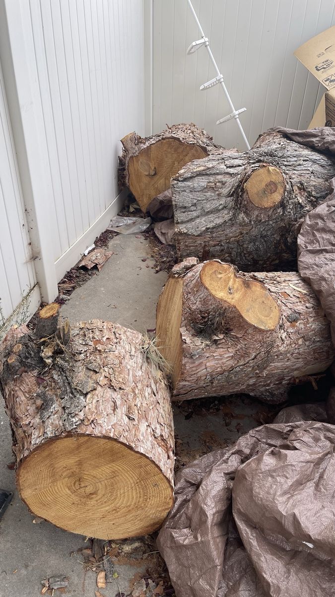 Pine firewood