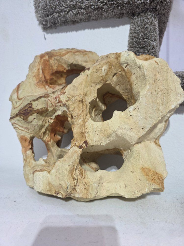 Main image 2
