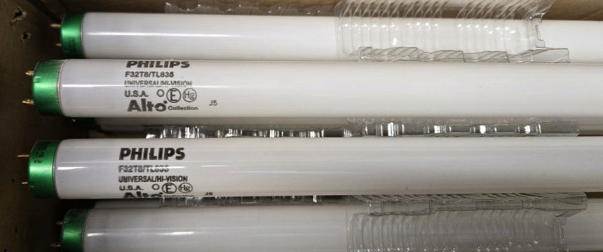 Sylvania DUALescent LED T8 Light Bulbs - Frosted Glass, 12W, 4100K/3500K