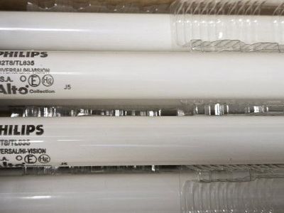 Sylvania DUALescent LED T8 Light Bulbs - Frosted Glass, 12W, 4100K/3500K