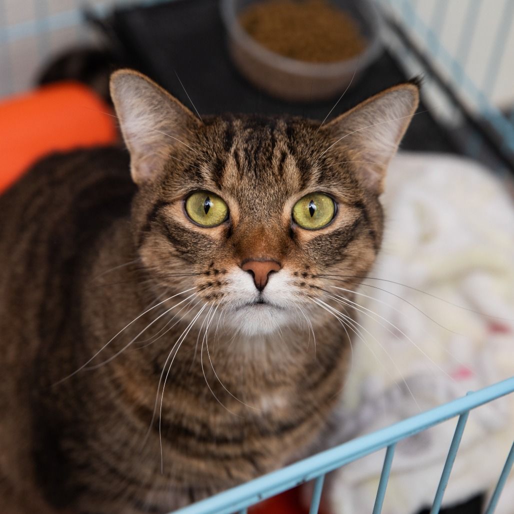 Hello my name is Louise