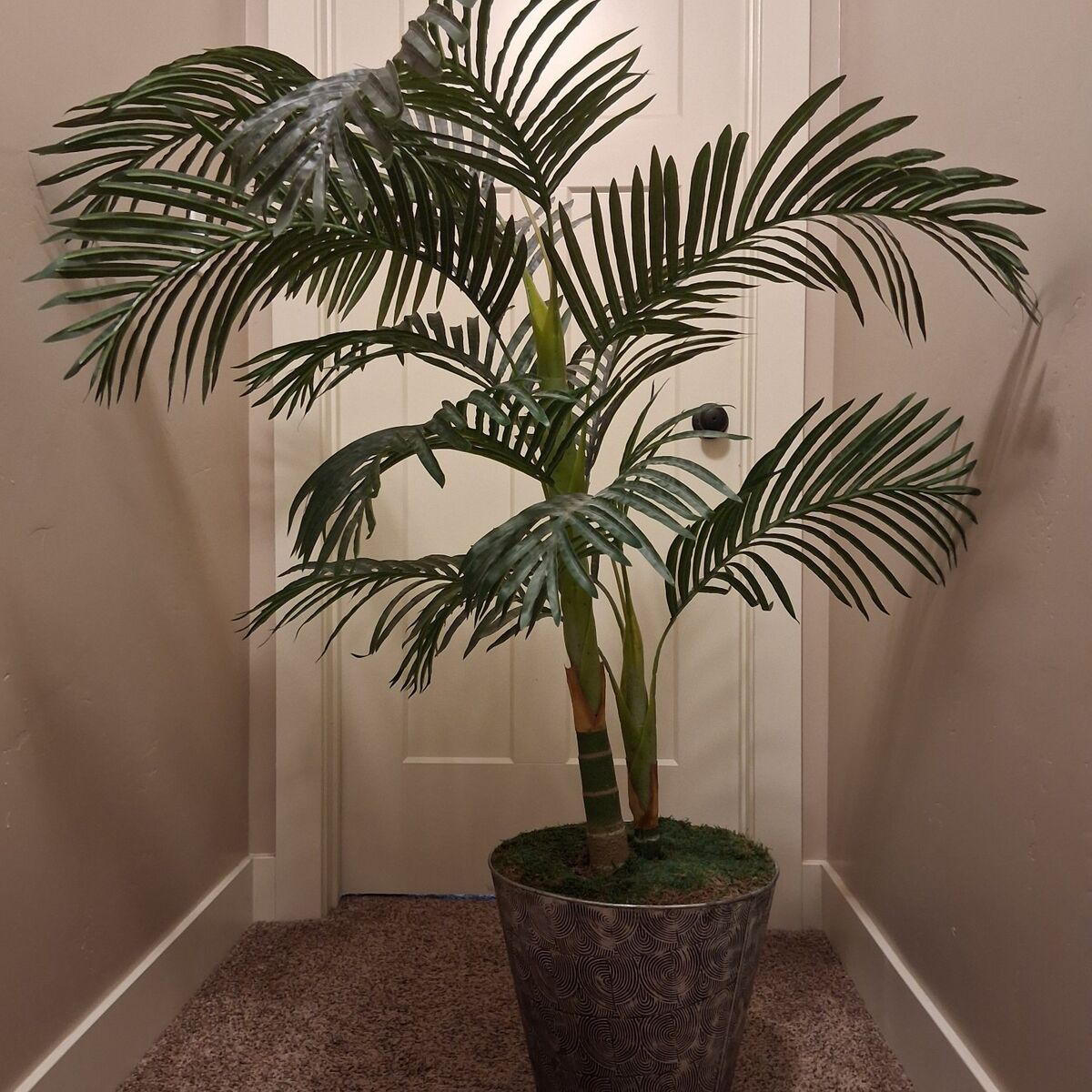 artifical palm tree decor