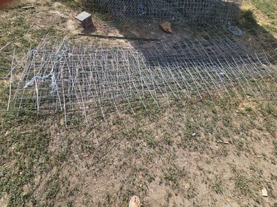 16 ft x 50 " cattle panels