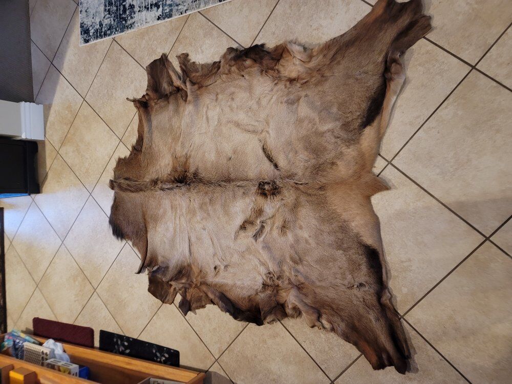 Elk Fur