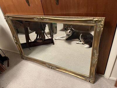 Vintage Mirror 53x33 Inches