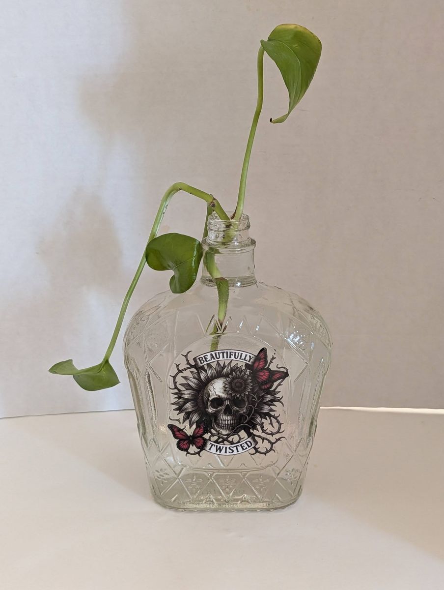 Plants: Great Mother's Day/Birthday Ect Gift