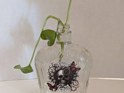 Plants: Great Mother's Day/Birthday Ect Gift