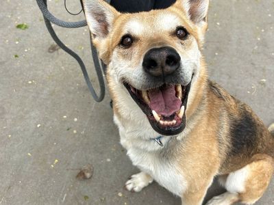 Hello my name is Tess