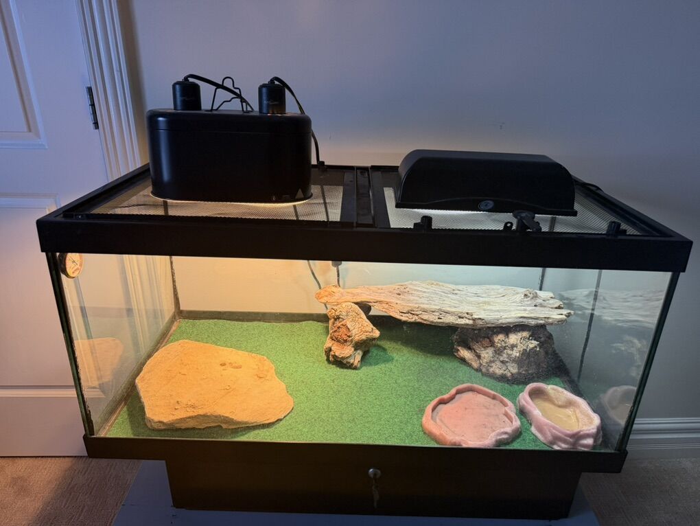 Bearded Dragon Enclosure