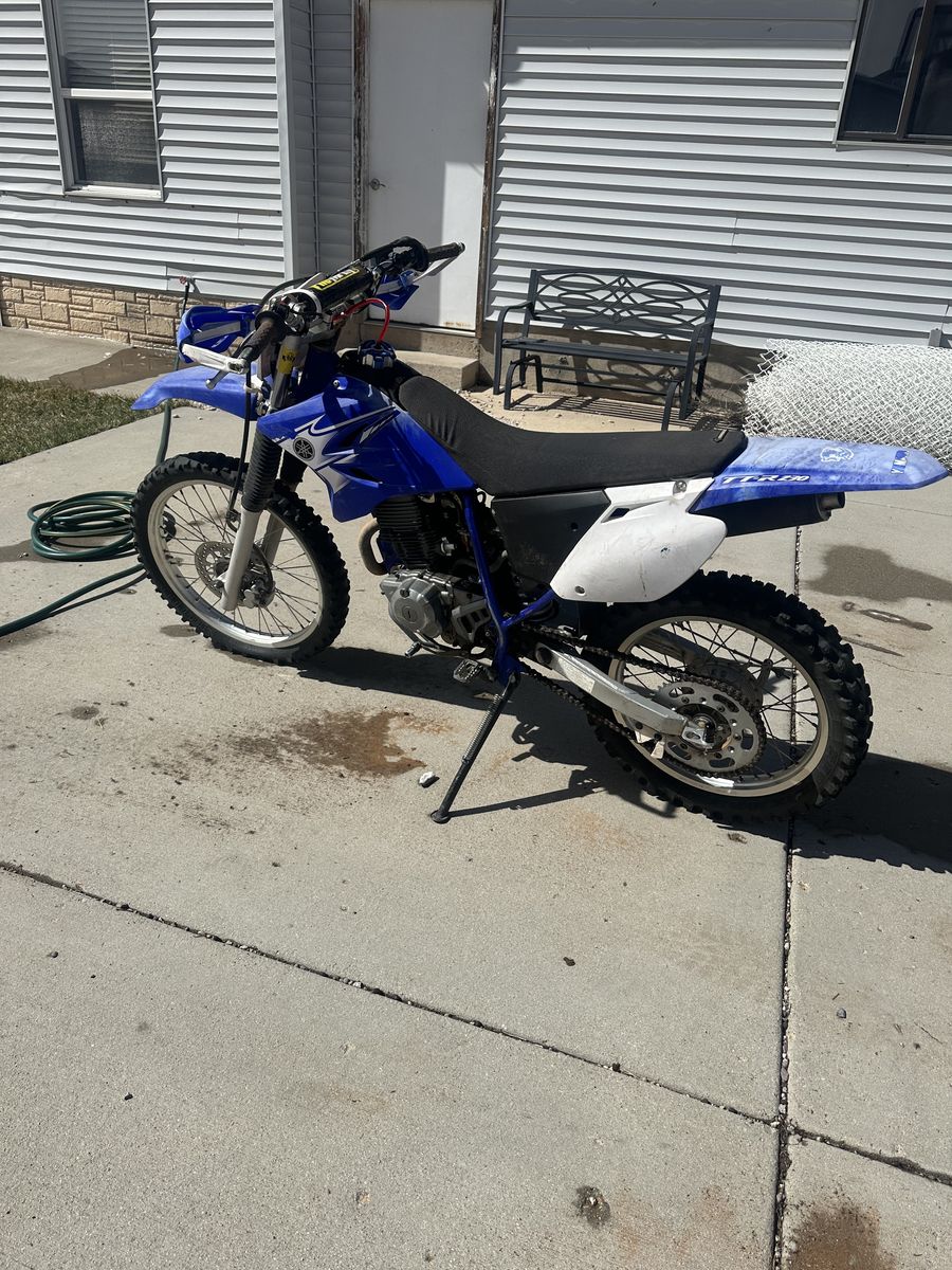 2007 Yamaha Ttr 230