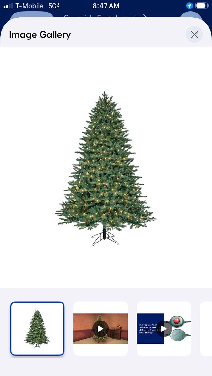 Main image 4