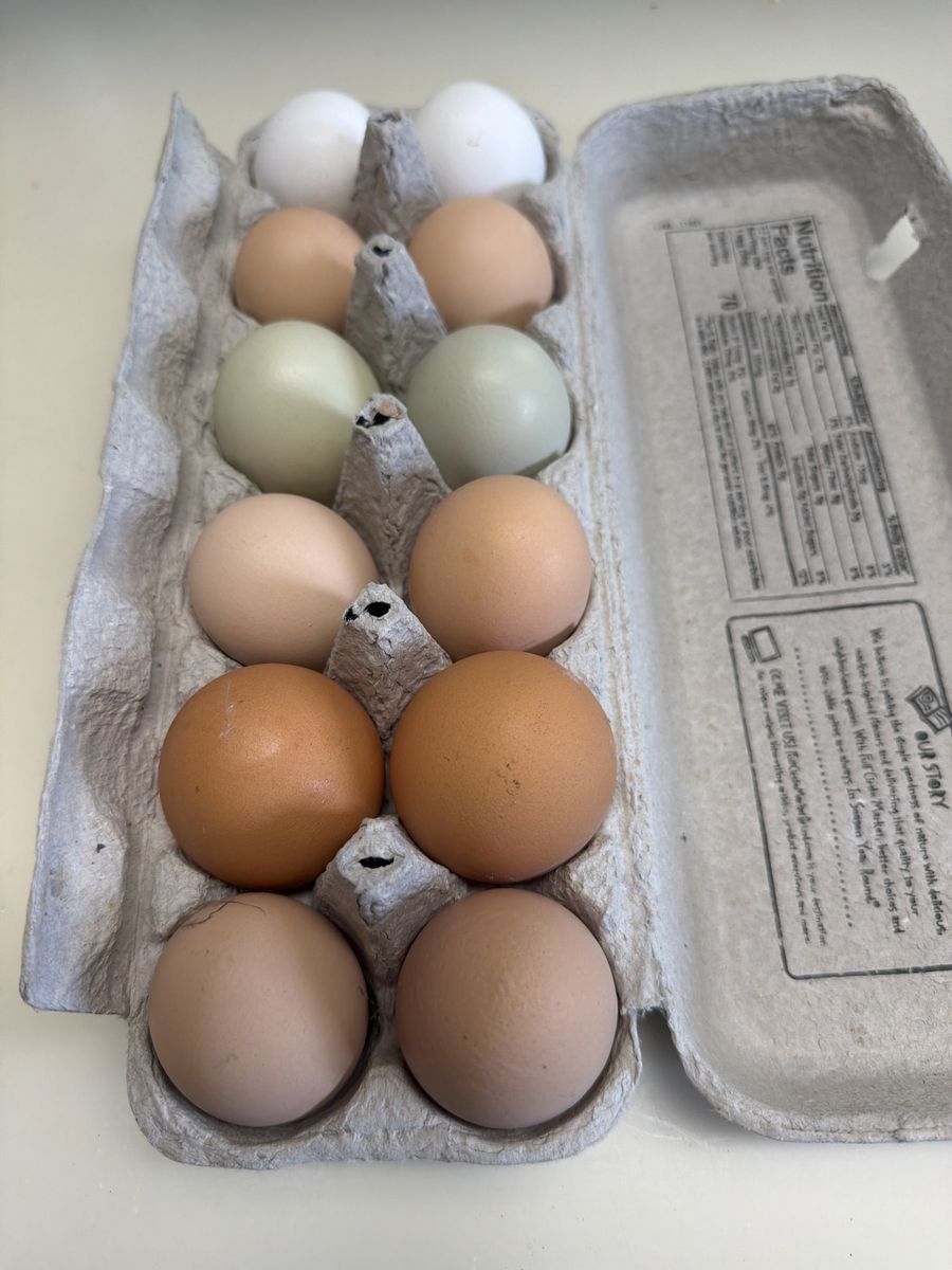 Pasture chicken eggs