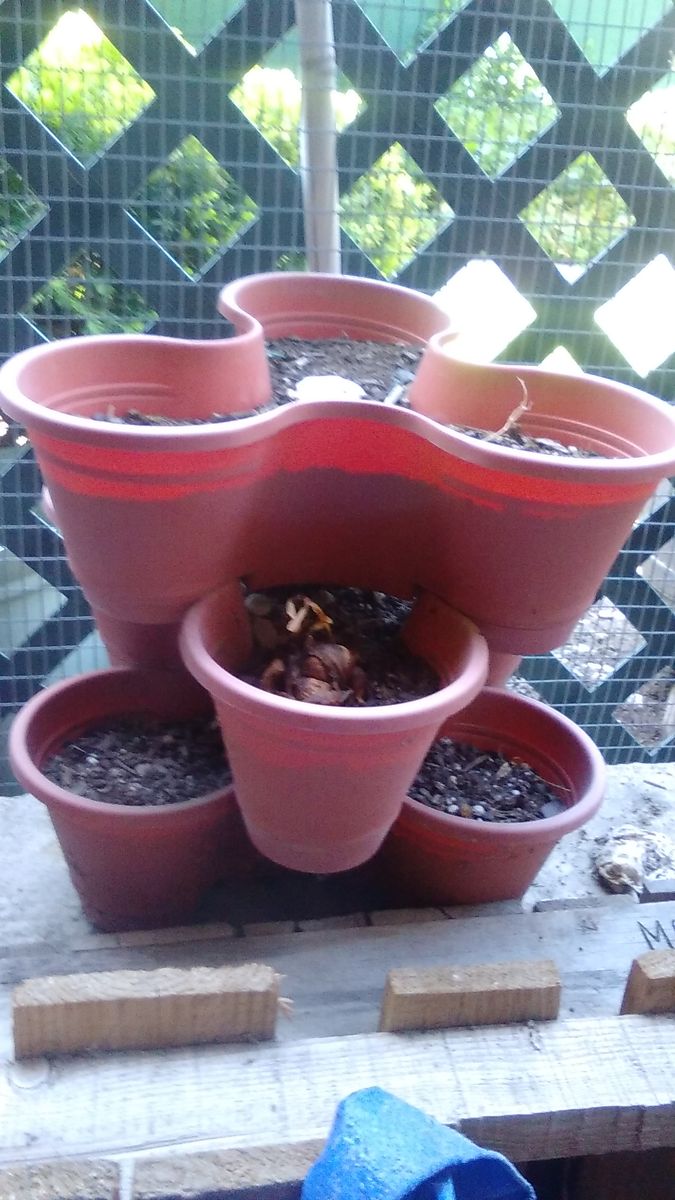 Tri-level pots