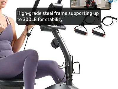 Bike Sunny Health & Fitness Smart Heavy-Duty Recum