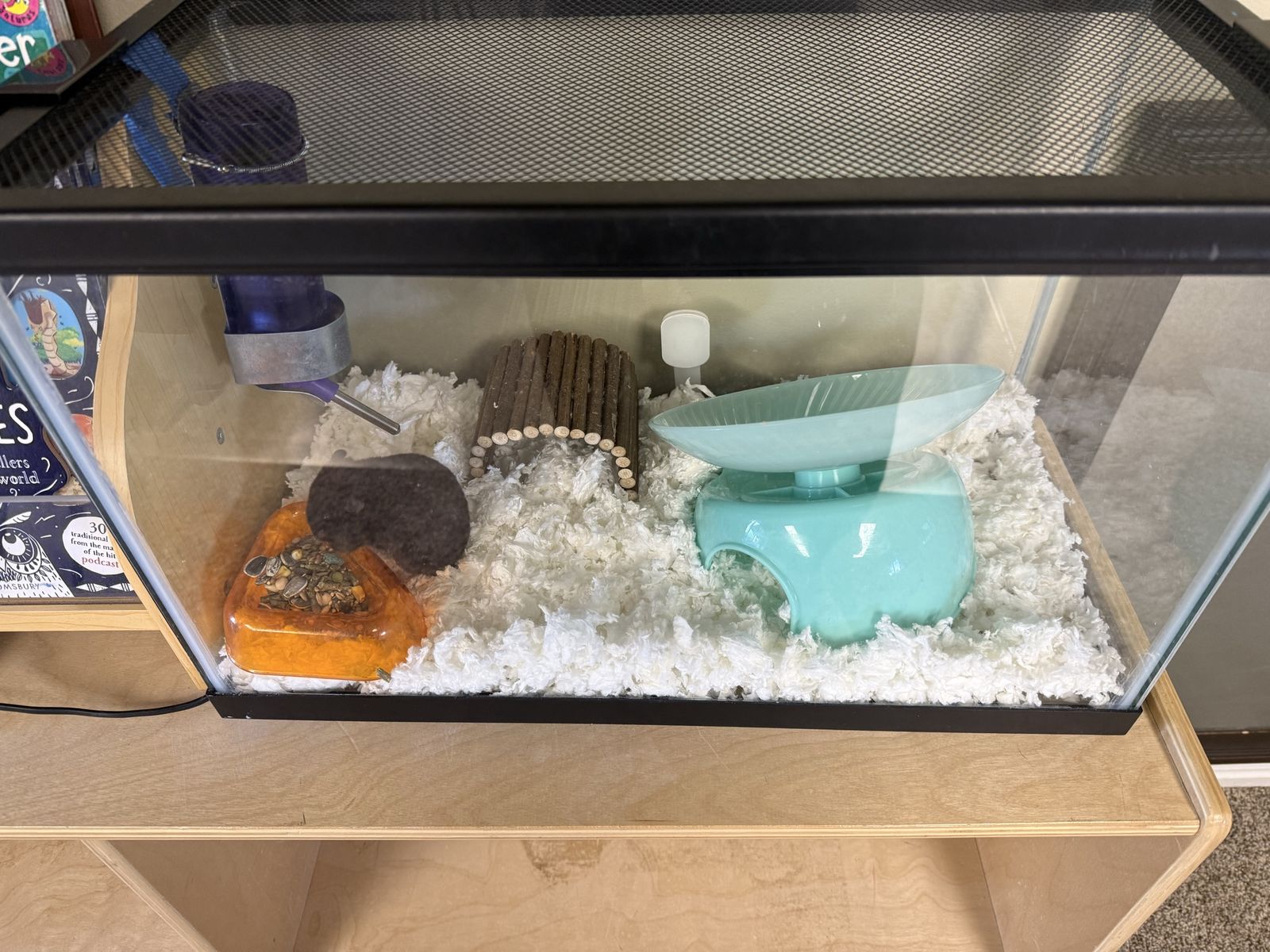 Female hamster