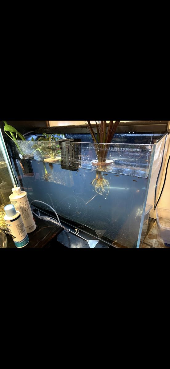 40 Gallon Canister Filter Tank