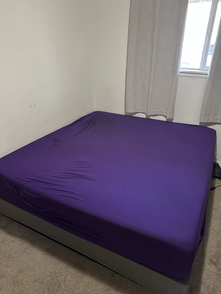 Purple Bed