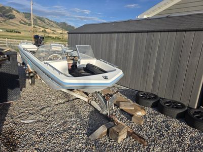 Outboard Motorboat with Trailer