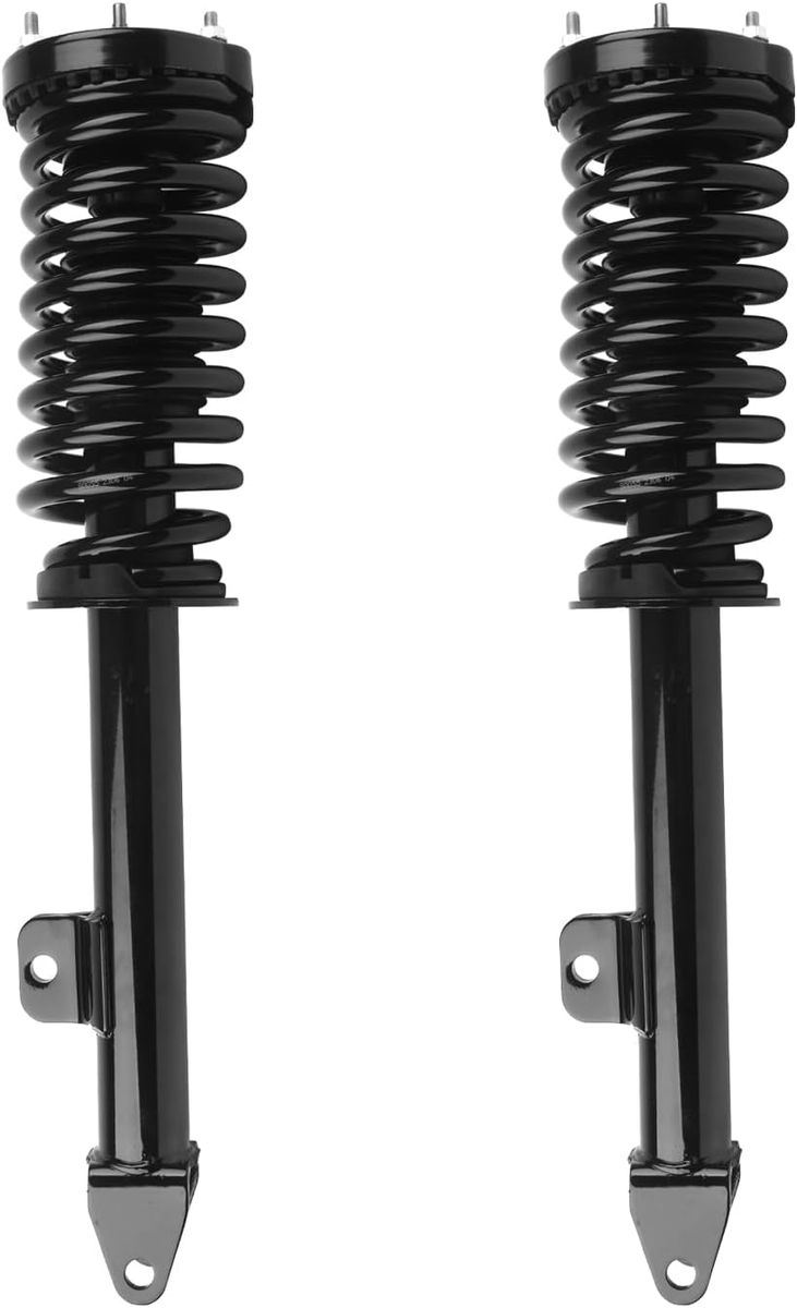 2006-2010 Dodge Charger, 2005-2008 Magnum, 2005-2010 Chrysler 300 RWD Front Strut Set