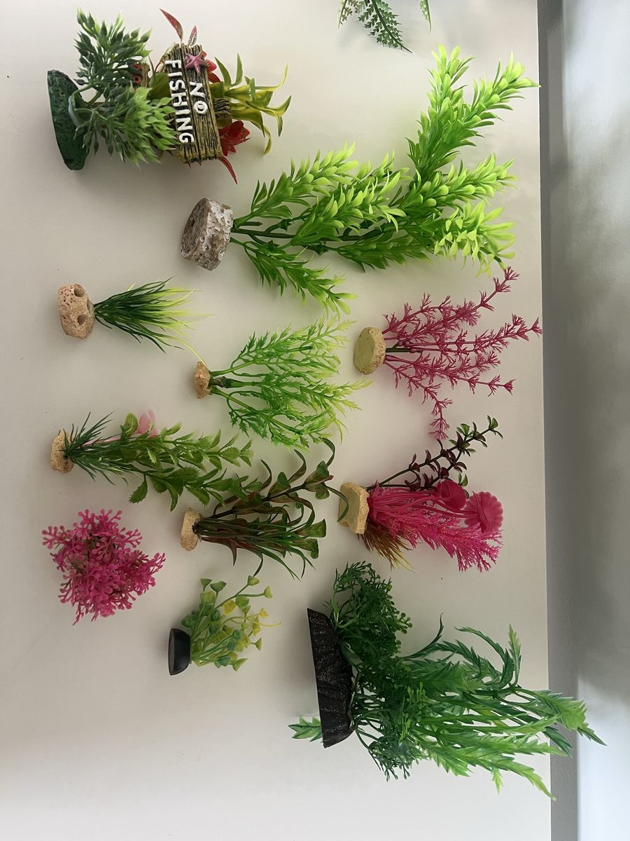 Main image 3