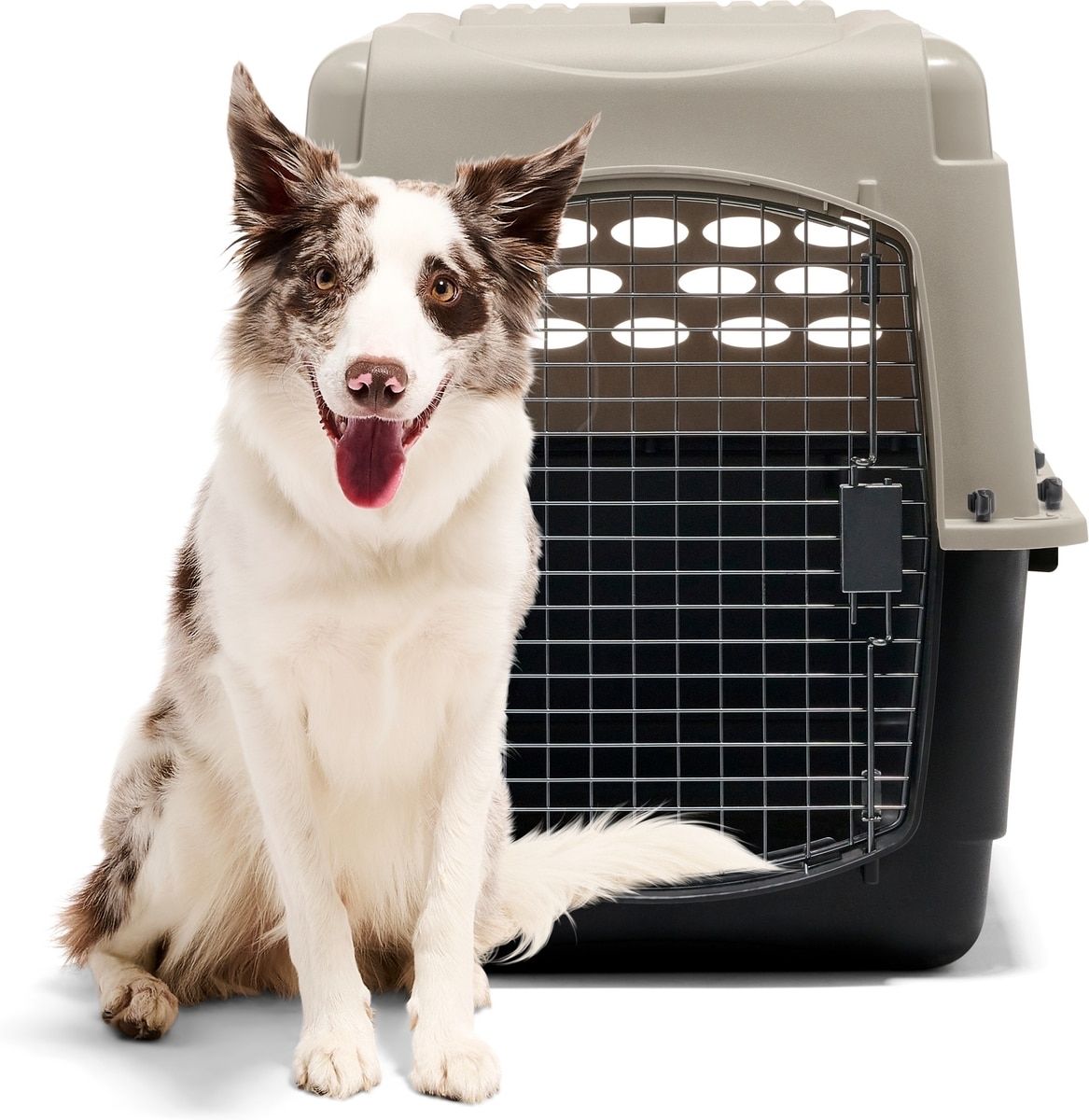 Petmate Kennel 32 Fits Dogs Or Cats < 50 Pounds
