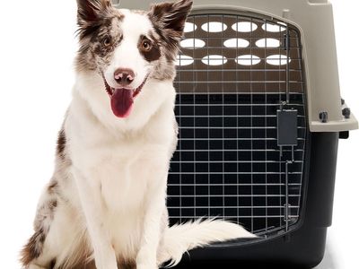 Petmate Kennel 32 Fits Dogs Or Cats < 50 Pounds