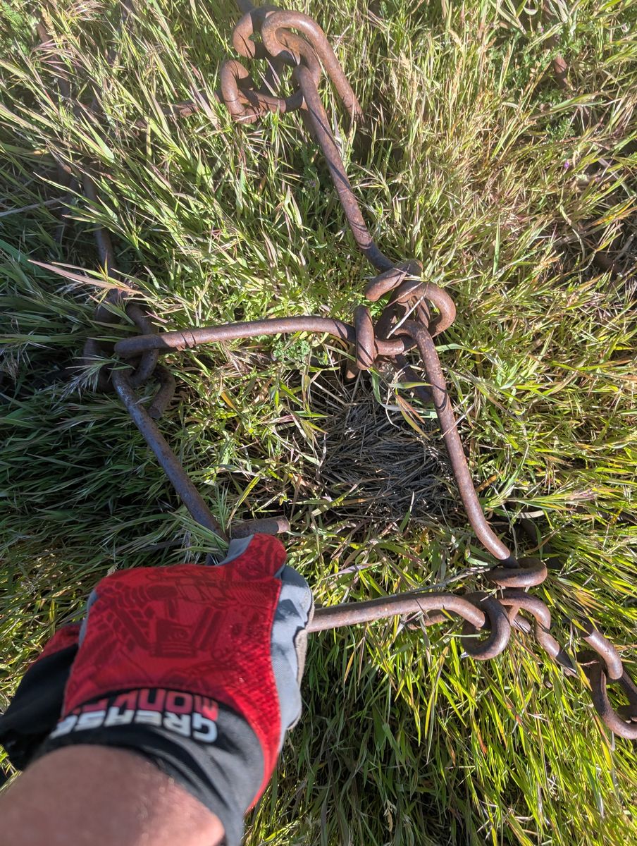 Pasture Harrows
