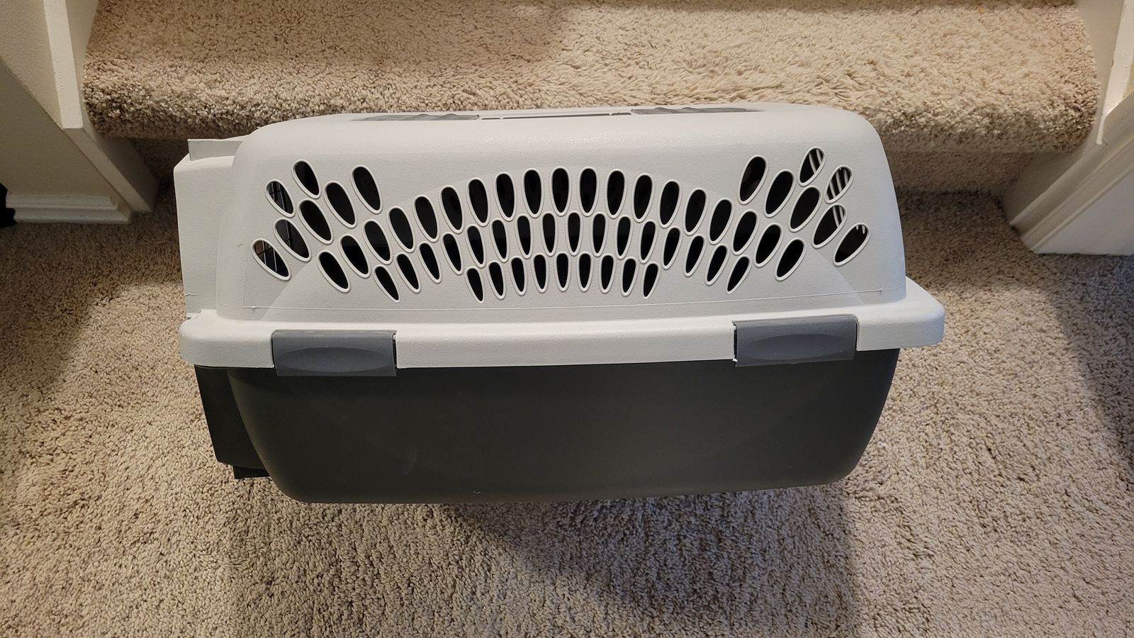 Petmate Pet Taxi – Cat Carrier