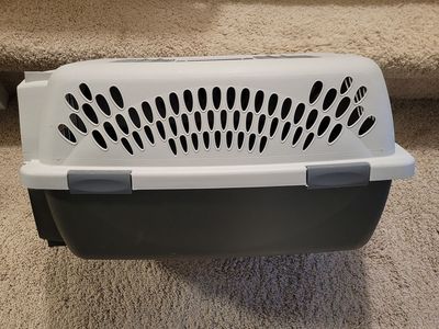 Petmate Pet Taxi – Cat Carrier