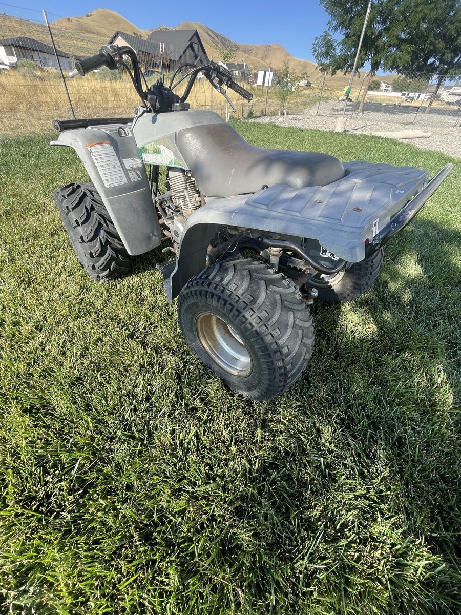 1993 Yamaha Timberwolf 250 still runs great!