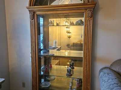 Glass Knick Knack Case