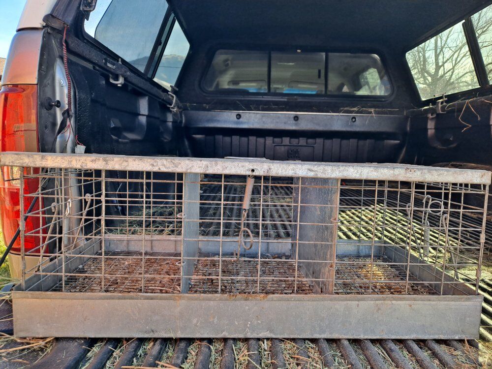 Small Animal Transport