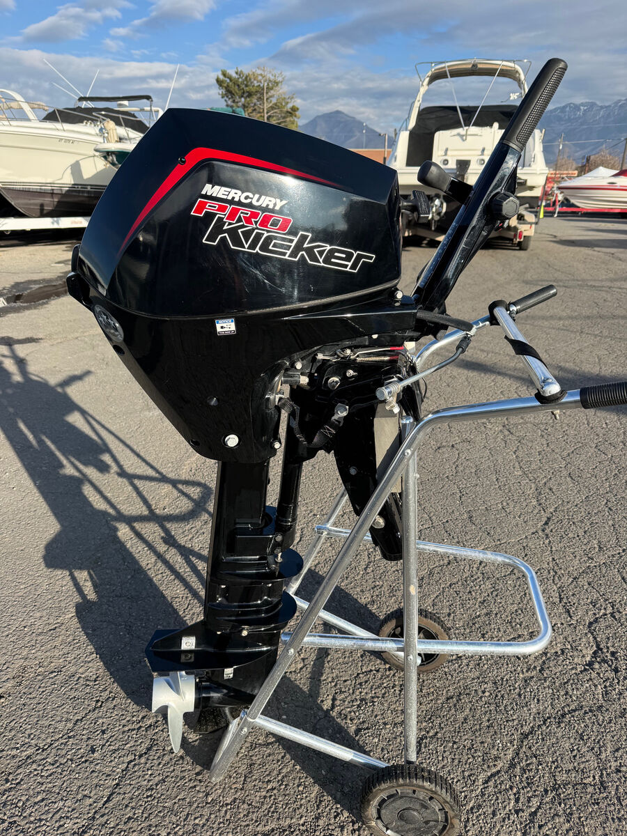 2021 Mercury 15hp 4-Stroke ProKicker EFI Outboard Motor