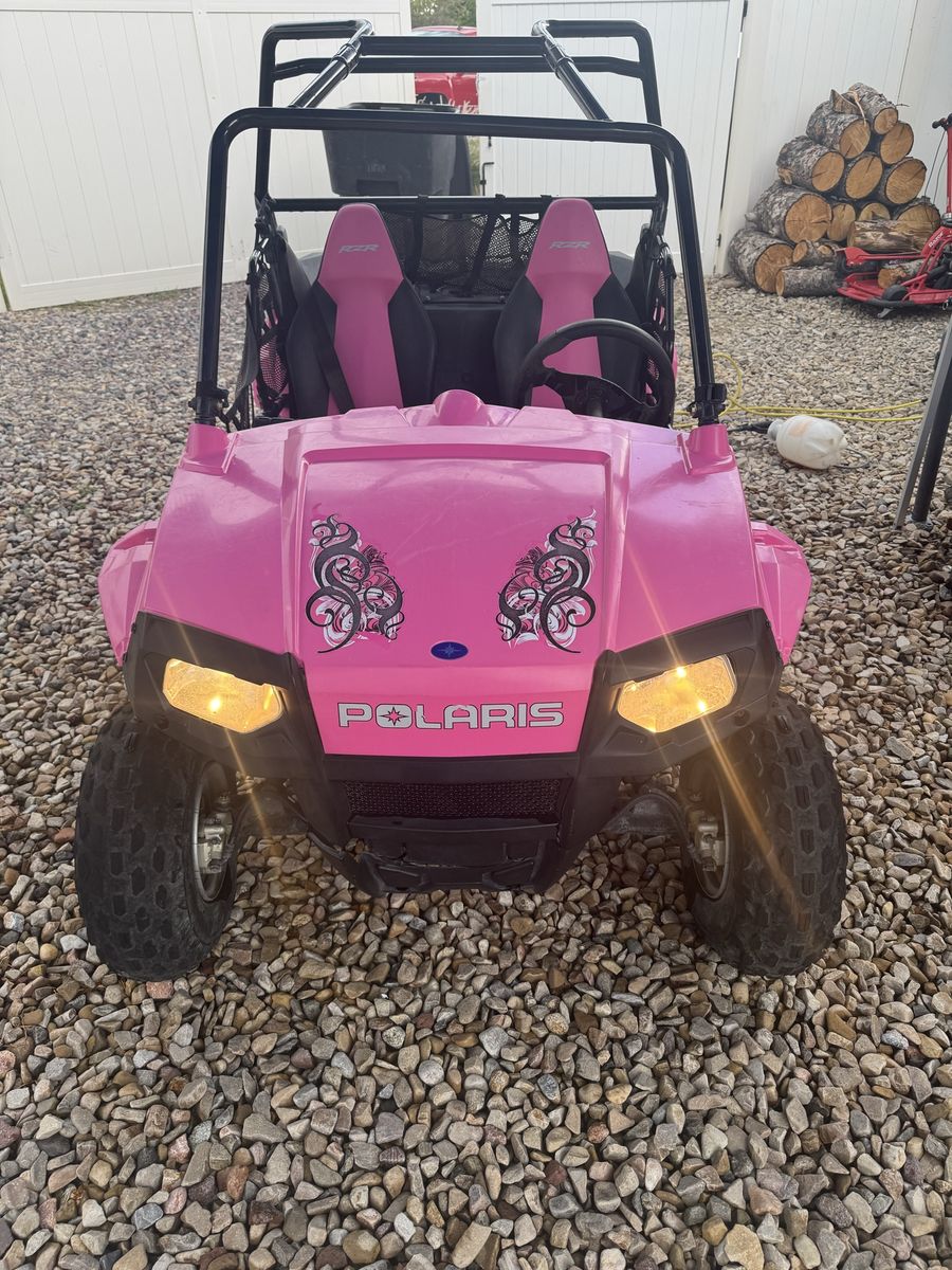 2009 Polaris RZR 170 