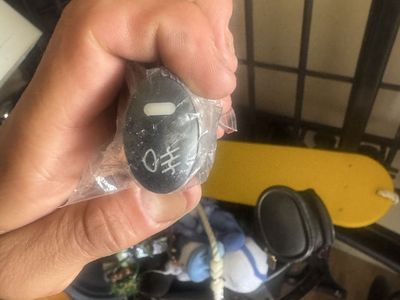 Fog Light Assembly And Switch