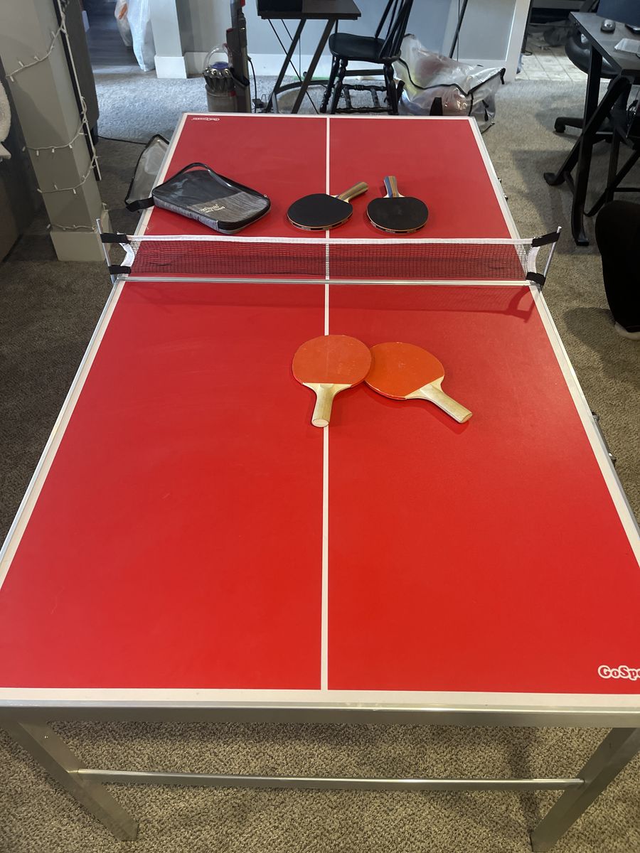 Ping-Pong Table