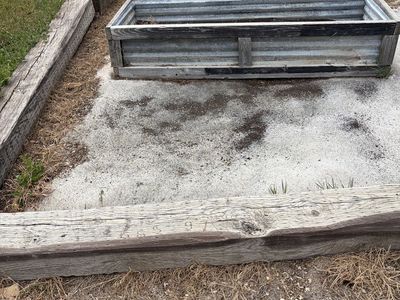 Free Dirt planter boxes and rail road ties!